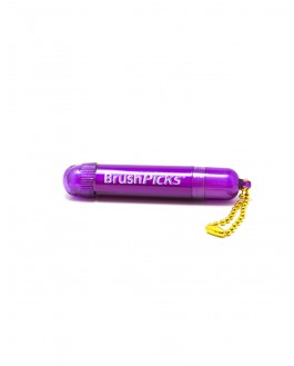 Oxyfresh BrushPicks - Purple